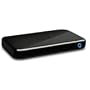 WD Passport Portable WDXMS2500 - Hard drive - 250 GB - external - 2.5" - Hi-Speed USB - 5400 rpm - buffer: 2 MB - glossy black