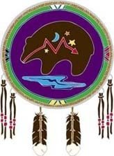 Cover image : Native Visions Window Transparencies - Medicine Bear