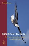 Shambhala-Training: Der Weg des spirituellen Kriegers im täglichen Leben