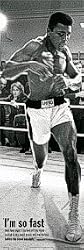 MUHAMMAD ALI- TRAINING - 21x62 Door Poster