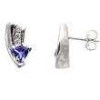 14K White Gold Tanzanite and Diamond Earrings