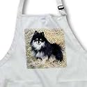 Dogs Pomeranian - Black and Tan Pomeranian - Aprons