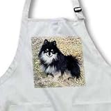 Dogs Pomeranian - Black and Tan Pomeranian - Aprons