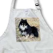 Dogs Pomeranian - Black and Tan Pomeranian - Aprons