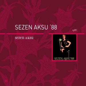 Sezen Aksu - Hasret Lyrics - Zortam Music