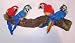 Macaw Wall Plaque Key Chain Holder 10in