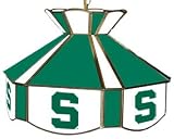 Michigan State Spartans Teardrop Stained Glass Swag Light