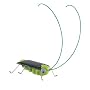 OWI OWI-MSK670 FRIGHTENED GRASSHOPPER JR SCIENCE SERIES