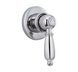 Alsons 2010 C BX Trim Chrome
