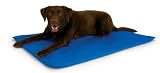 K&H Cool Bed III Cooling Dog Bed, Large, 32-Inches by 44-Inches, Blue