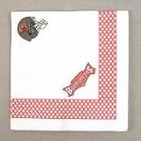 Tampa Bay Buccaneers Paper Lunch Napkins