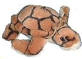 7 inch Baby Loggerhead Sea turtle plush