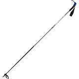Swix Powder Nordic Ski Poles