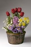 Dutch Garden Assortment Bulb Garden