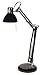 Black Finish Adjustable Halogen Desk Lamp