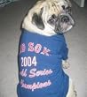 Boston Red Sox 2004 Championship Commemorative Dog T-shirt Size Medium