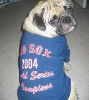 Boston Red Sox 2004 Championship Commemorative Dog T-shirt Size Medium