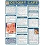 Ostomy Care Laminated Reference Guide (Quickstudy: Health)