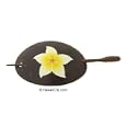 Hawaiian Plumeria Flower Coconut Wood Barrette