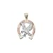 Bald Eagle and Horseshoe Pendant in 14K Tricolor Gold