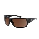 Gargoyles Balance Sunglasses