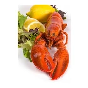 1 and 1 8 lb Live Maine Lobster -- Pack of 1 by Cape Porpoise Lobster Co.