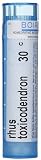 Boiron Rhus Toxicodendron 30, Pellets, 80 ct.