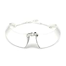 Silver Collar Necklace