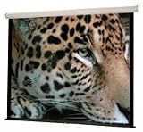 Buhl Industries 60x60 WS-W60 - Matte White Fabric - Square Format Projector Screen