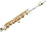 Jollysun Silver Piccolo