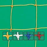 Collegiate Playmaker Soccer Net (PR)