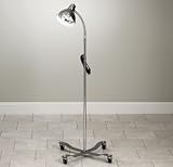 CLINTON LAMP Gooseneck lamp w/mobile base Item# T-12