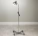 CLINTON LAMP Gooseneck lamp w/mobile base Item# T-12
