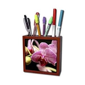 Bob Molchan Photography Nature - Flower Orchid Purple - Tile Pen Holders-5 inch tile pen holder