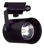 Black Finish Low Voltage Adjustable Landscape Spot Light