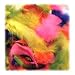 Chenille Kraft Company Products - Feathers, Approximately 325 Pieces, Assorted - Sold as 1 EA - Feathers are perfect for decorating masks, collages and other craft projects. The turkey plumage is colored with an assortment of bright hues.