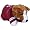 Texas A&M Aggies