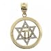 Star of David Jewish Chai Pendant in Yellow & White Gold