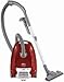 AEG 6105AAM AirMax Bo.Stbsgr.