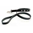 Coastal Pet Harley-Davidson Leather Dog Leash / Lead (Black, 4 ft. L x 5/8 Inch W)