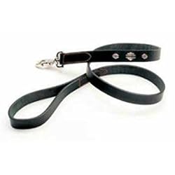 Coastal Pet Harley-Davidson Leather Dog Leash / Lead (Black, 4 ft. L x 5/8 Inch W)