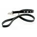 Coastal Pet Harley-Davidson Leather Dog Leash / Lead (Black, 4 ft. L x 5/8 Inch W)