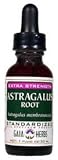 Astragalus Root ExStrnth-1 oz.
