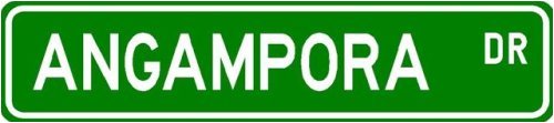 Angampora Street Sign ~ Martial Arts Gift ~ Aluminum