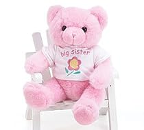 "Big Sister" Pink Plush Bear Great Gift Item For The New Big Sister