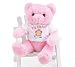 Big Sister Pink Plush Bear Great Gift Item For The New Big Sister