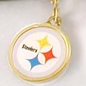 New! Pittsburgh Steelers Instant Pet ID Tag
