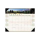 311tH4NrrGL. SL160  At A Glance 89802 Visual Organizer Landscape Monthly Desk Pad Calendar for 2009, 22 x 17
