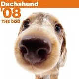 THE DOGダックスフンド 2008年カレンダー
