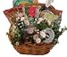 Healthy Pregnancy Sampler Gift Basket